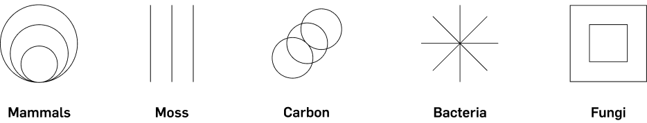 Diagram of the five core entities: Mammals, Moss, Carbon, Bacteria, and Fungi