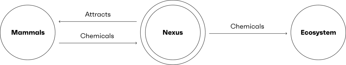 Diagram showing chemical exchange between Mammals, Nexus, and the Ecosystem